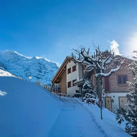 Silberhorn Apt- Dw By Interhome Apartamento Wengen