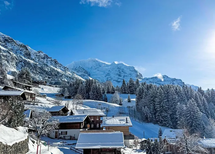 Silberhorn Apt- Dw By Interhome Apartamento *