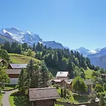 Silberhorn Apt- Dw By Interhome 公寓