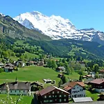 Silberhorn Apt- Dw By Interhome 公寓 *