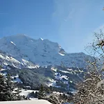 Silberhorn Apt- Dw By Interhome 公寓 翁根