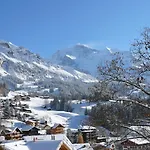 Silberhorn Apt- Dw By Interhome 公寓 *