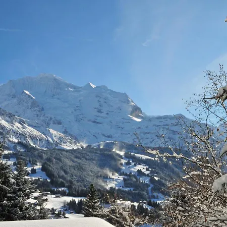 Apartment Silberhorn Apt- Dw By Interhome Apartment Wengen