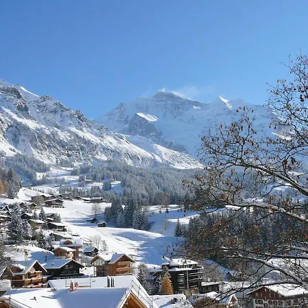 Apartment Silberhorn Apt- Dw By Interhome Apartment *