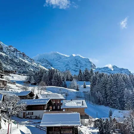 Silberhorn Apt- Dw By Interhome 公寓 *